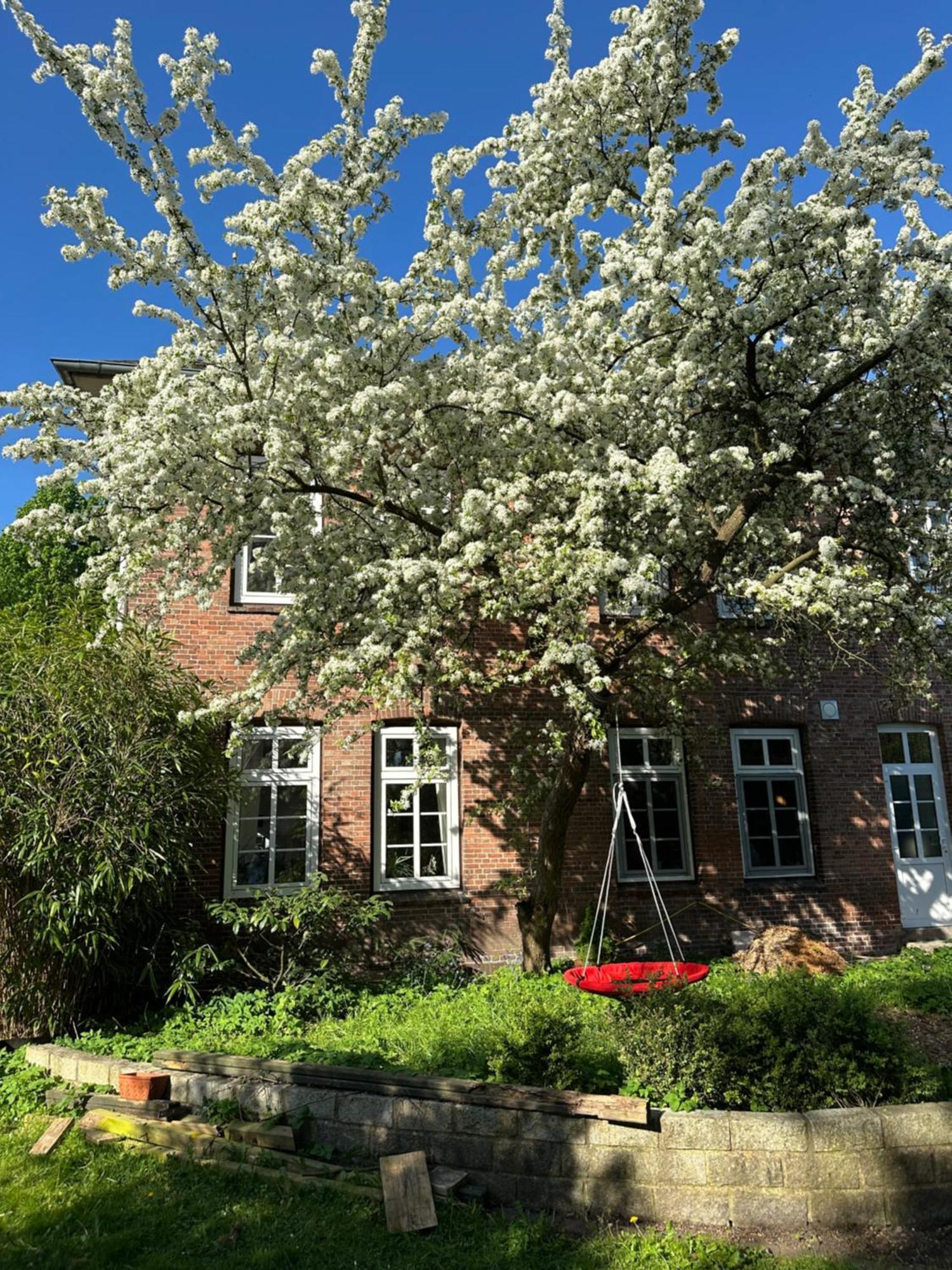 Altes Pastorat Bed & Breakfast *
